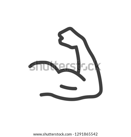 Muscle lines icon vector Royalty-Free Stock Photo #1291865542