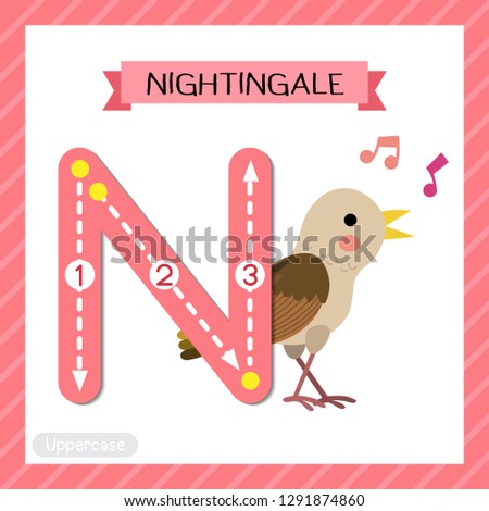 Letter N uppercase cute children colorful zoo and animals ABC alphabet tracing flashcard of Singing Nightingale bird for kids learning English vocabulary and handwriting vector illustration.