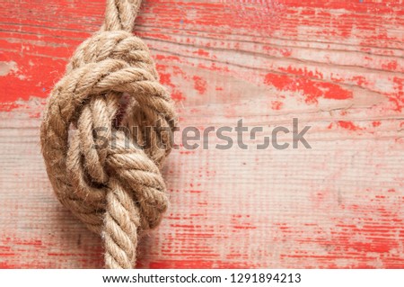 Picture with a rope on the background of an old tree