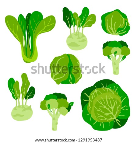vector cute  childish green vegetables cabbage set on bok choy kohlrabi broccoli salad iceberg white for your design menu cafe farmer market Royalty-Free Stock Photo #1291953487