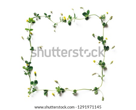 Frame made of yellow clover on white background. Copy space. Flat lay. View from above.