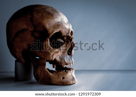 Human skull in grunge style with copy space.