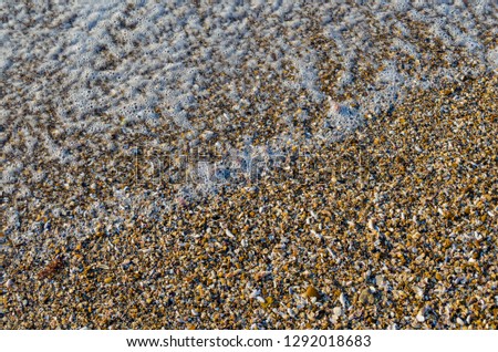 Seashore of shellstone with a coastal foamy wave.