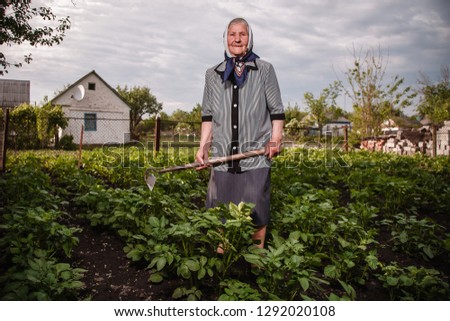 Old grandmother works in the garden with flowers