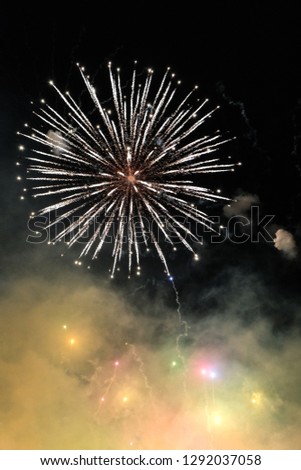 Fireworks display light up the midnight sky.