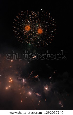 Bright and colorful fireworks display light up the midnight sky.