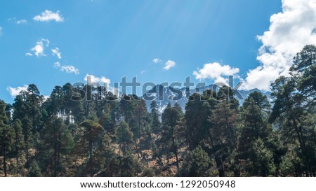Volcano surrounded by trees on blue sky