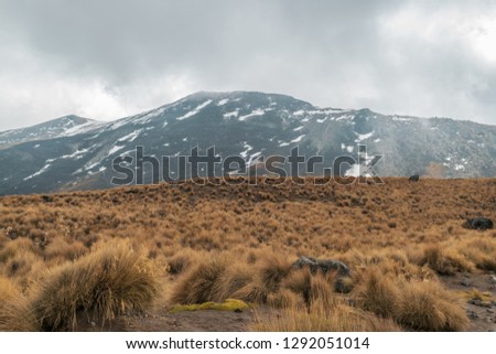 Volcanic landscape inside the crater of Nevado de Toluca