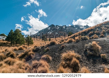 Landscape inside the crater of Nevado de Toluca