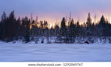 Pastel sky at sunset in winter over a snowy lake in the forest. Winter landscape in the Harz mountains, Oderteich water reservoir, Lower Saxony, Germany.

