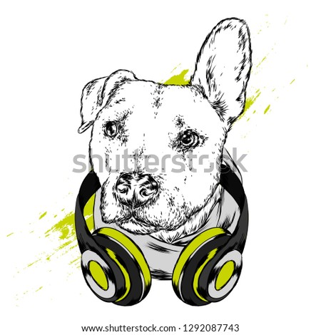 Dog with headphones. Funny puppy. Vector illustration for greeting card or poster, print on clothes.
