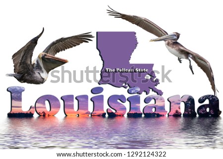 Louisiana the Pelican State with Text Map and Pelicans in Flight all Reflected in Water
