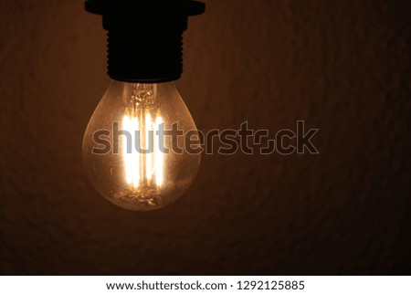 Light Bulb Portrait
