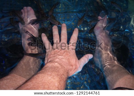 Fish massage hand and foot