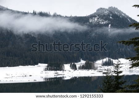 Alpine mountain lake scene with a snow covered shore and dark evergreen tree hillside