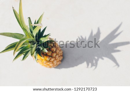 Fresh Tropical Raw Pineapple Fruit