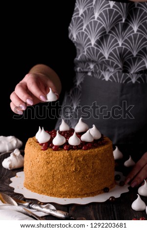 Delicious and very beautiful honey cake with sour cream and berries. Dark key and honey cake.
