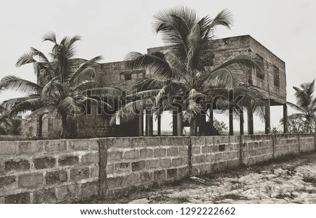 Creative vintage. Palm trees on a background of unfinished building. Abandoned house. Matte. Old photo. Retro
