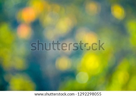 Blurred of flowers with bokeh in natural background.