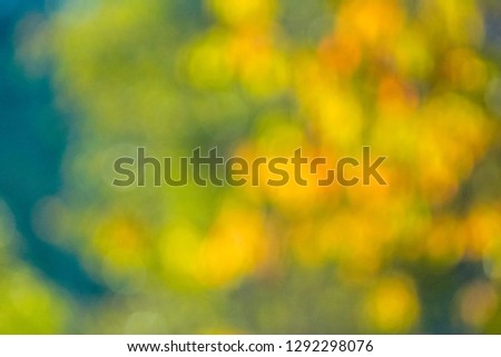 Blurred of flowers with bokeh in natural background.