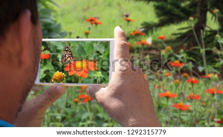 A man using a smart phone to taking pictures of butterfly on the flowers. 
