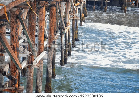 View from Mission Beach in San Diego, of Piers, Jetty and sand, around surfers, including warning signs, palm trees, waves, rocks, boats and horizon views. Pacific Ocean. California, United States.