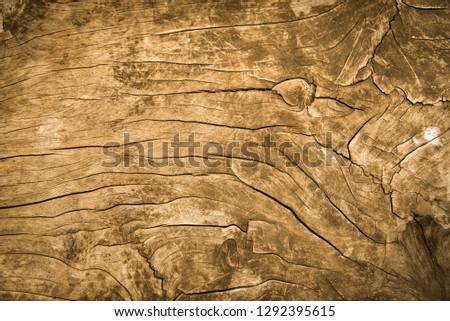 abstract wooden texture background - old pattern wooden brown from nature