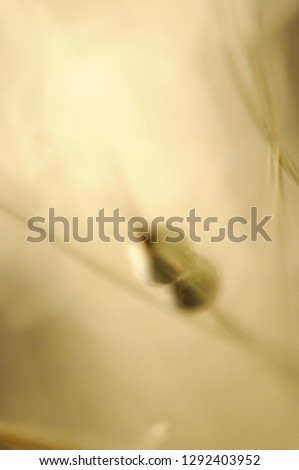 Abstract blur picture of beads on bright gradation yellow background