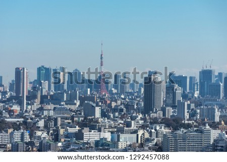 scenery in the center of Tokyo seen from a skyscraper