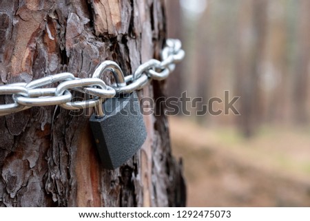 chain and lock side view hanging on the tree, tree protection concept