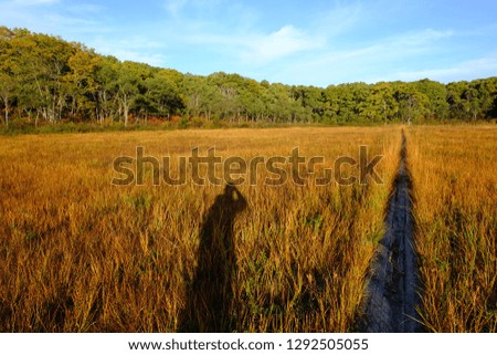A man's shadow standing in the autumn morning marshland, who taking pictures