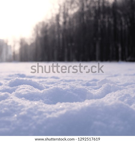 Winter landscape background photo in cold tones. trees, snow, sky