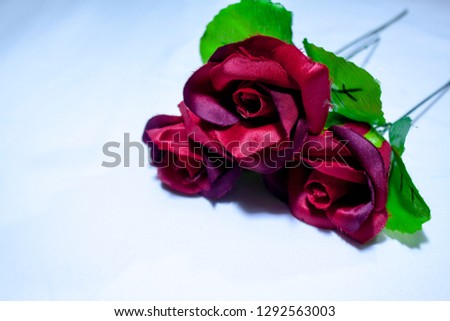 Happy Valentine day with red roses on white background photoshoot
