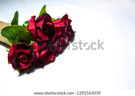 Beautiful rose for Valentine day photoshoot
