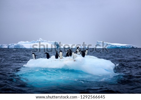 Snow, ice, glaciers, ocean water, clouds, seals and penguins - a typical sightseeing day for tourism in Antarctica 