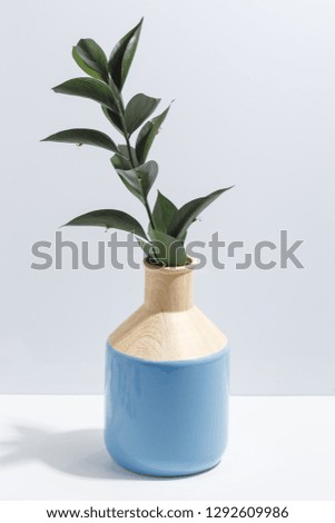 Mock up branch with green leaves in blue vase on book shelf or desk. Minimalistic concept.