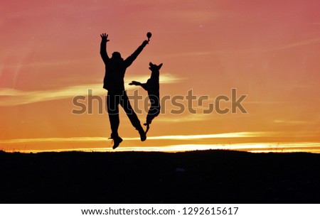 Silhouette of a man and a dog Malinois jumping and playing on the background of a beautiful sunset.