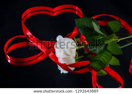 Valentine's day blank postcard rose and heart of ribbons on a black background                               