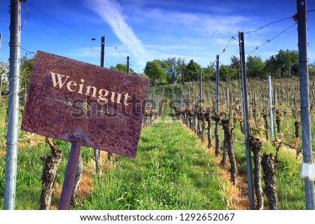 Wineyards in Germany Baden-wurtemberg desk with text in german Weinyard 