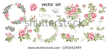 Flower arrangements of pink roses, colorful leaves, wild herbs. Set: roses, bouquets, twigs, wreaths, floral elements. Vector illustration.
