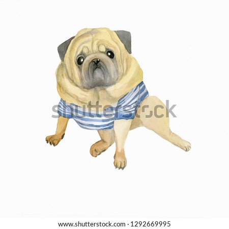 Watercolor closeup portrait of cute wrinkled breed mops. Pug isolated on white background. Short-haired reddish fawn dog of small size. Hand drawn cute home pet. Greeting card clip design
