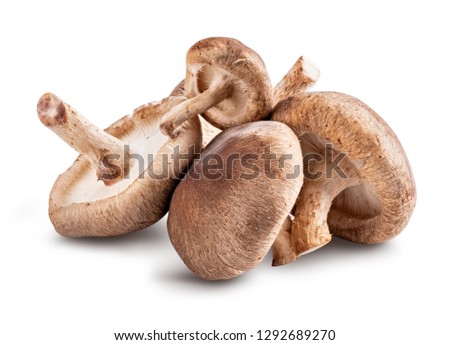 Shiitake mushroom isolated on white background. Clipping path Royalty-Free Stock Photo #1292689270