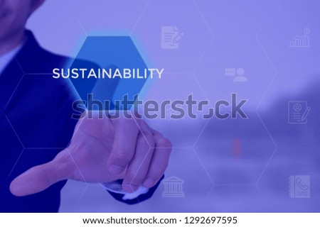 organizational sustainability concept
