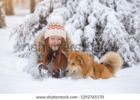 close up portrait  dog corgi fluffy and his owner playing on a winter walk at the outdoor
