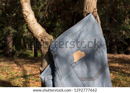 jeans in the fall