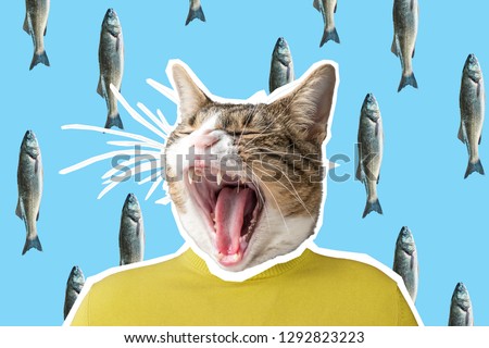 Cat and fish collage, pop art concept design. Minimal vibrant background.