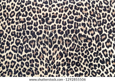 Leopard pattern, fabric texture, background print. African style, leopard print, seamless. Cheetah or jaguar fabric texture. Animal effect skin textile design. Abstract cloth print.