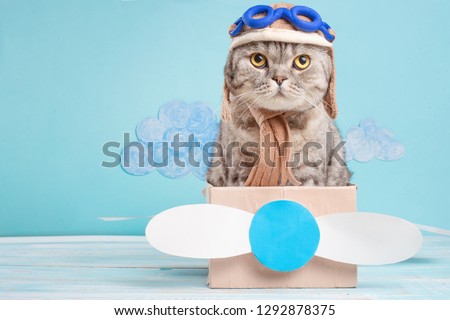 Very funny cat pilot of an airplane with glasses and a pilot's hat sitting on a plane, against the background of clouds. Concept of funny and funny animals Royalty-Free Stock Photo #1292878375