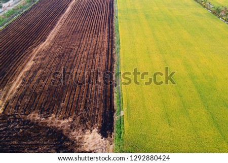 Aerial view, rice fields and rows of soil before plant at Thialand