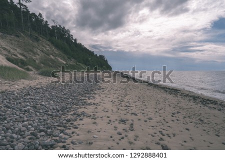 empty sea beach with sand dunes and dry tree trunks washed to the shore in summer. calm water - vintage retro film look